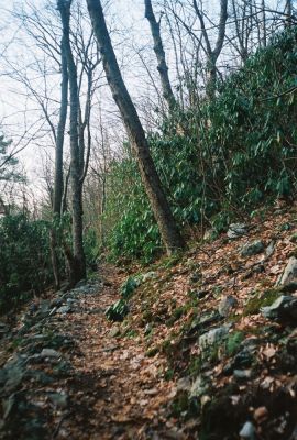 The Trail near Curly Maple Gap
Rock Cribbing on A.T.
