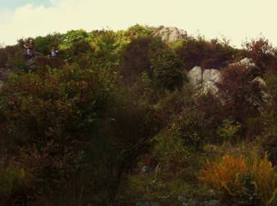 Wilburn Ridge
Ascending the ridge, 
9-09

