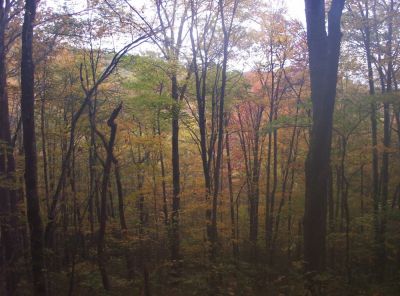 Autumn colors near Sam's Gap
10-09
