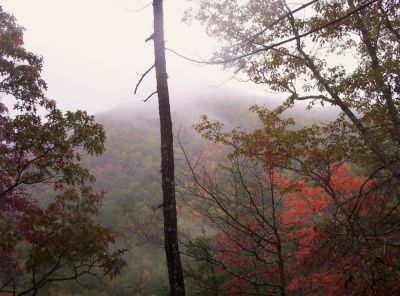 Autumn Scenery
On Unaka Mountain,
October 2009
