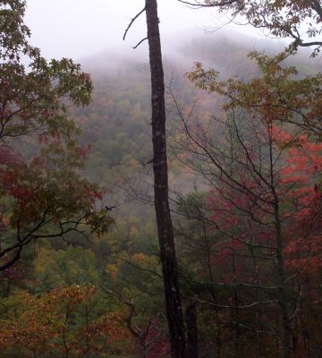 Autumn Scenery
Near Curly Maple Gap,
October 2009

