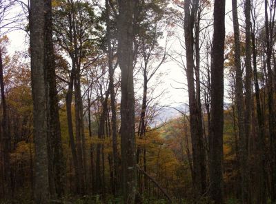 Autumn view near Street Gap
10-09

