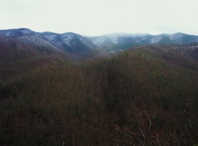 Big Pine Ridges and the Devil's Fork Valley
1-1-2010
