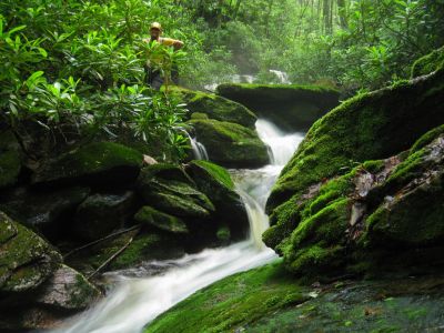 Hillbilly Gnome and Dan-o
Climbing down cascade
Cherokee National Forest
6-24-2018
