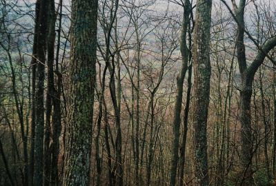 Cherokee Mountain Knob
View of Valley...
