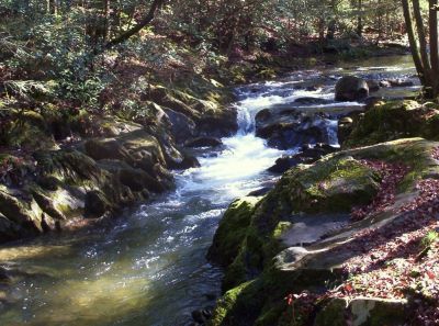 Swimming Hole
in Clarks Creek,
11-09
