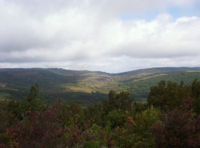 Grayson Highlands
View
