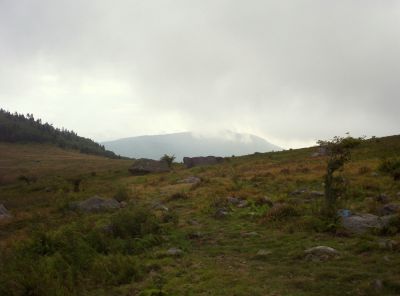 Mount Rogers
Meadow with wild horses, and Whitetop Mountain in the clouds in the distance...
September 2009
