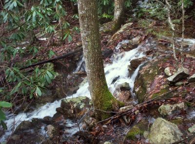 Jones Branch Cascades
on left fork,
12-09
