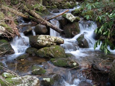 Cascades along Jones Branch
3-18-10
