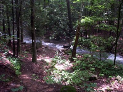Flood Waters
Jones Branch near the Nolichucky River
