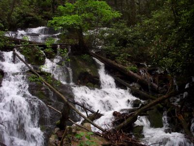 Jones Branch Waterfalls
June, 2009
