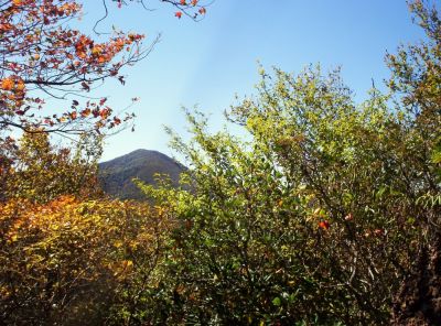 Little Bald as seen from High Rocks
10-09
