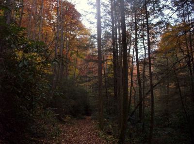 Longarm Branch Trail
October 2009
