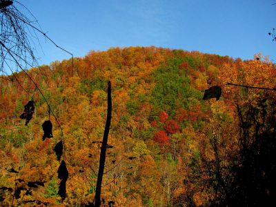 Meatgrinder Ridge
...with autumn colors, 
October, 2010
