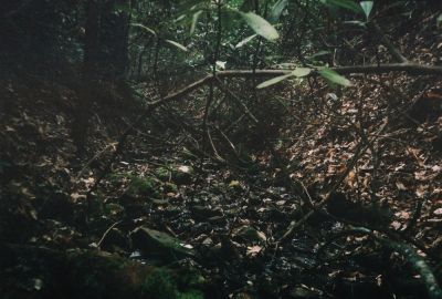 Cherokee Mountain
Moonshine Creek
4-2010
