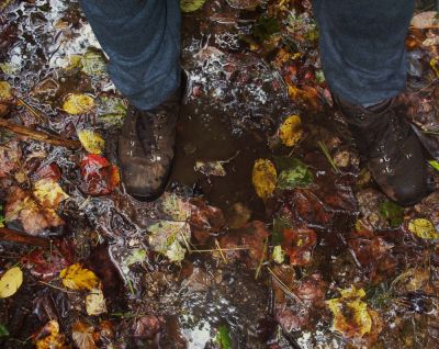 Mountain Mud
Yup, I love mountain mud.

10-09
