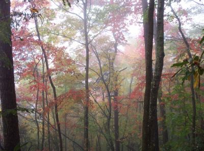 Autumn colors near Curly Maple Gap
10-09
