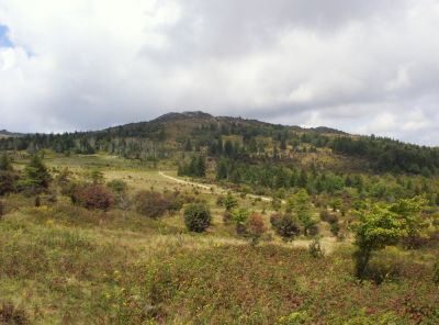 Wilburn Ridge
Near Massie Gap,
9-09
