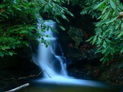 Small Falls on Shinbone Creek
Unaka Mountain (NC side),
12-8-2016
