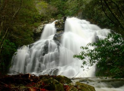 Unnamed Waterfall
At over 60', this incredible waterfall is most likely the largest unnamed waterfall in East Tennessee.

1-24-2017
