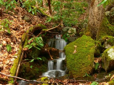 Small Cascade
On Rich Mountain,

March, 2017
