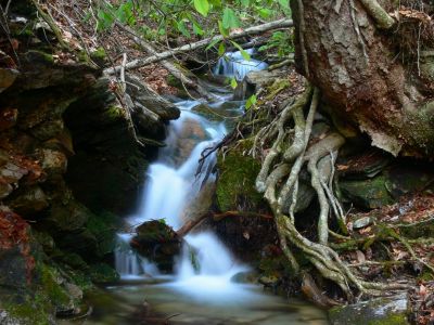 Cascade on Flattop Mountain
3-22-2017
