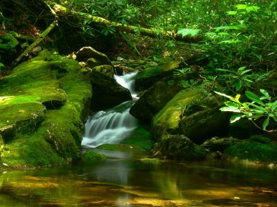 Cascade
Cherokee National Forest
6-17-2018

