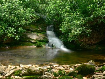 Beautiful Cascade
With Deep Pool 
Cherokee National Forest
6-17-2018
