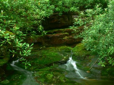 Cliff Wall and Cascade
Cherokee National Forest
6-17-2018
