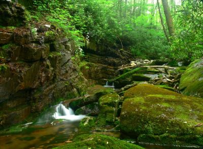 Beautiful Cascade
Cherokee National Forest
6-17-2018

