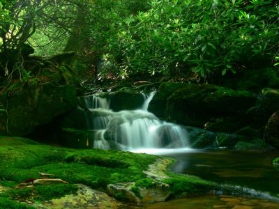 Small Cascade
Cherokee National Forest
6-17-2018
