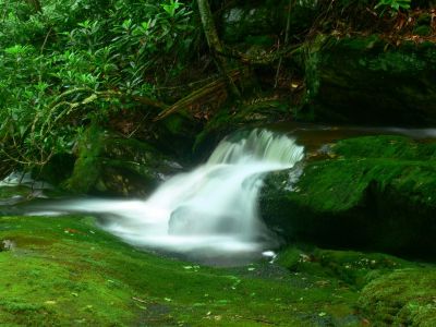 Cascades
Cherokee National Forest
6-24-2018
