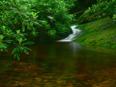 Cascade and Pool
Cherokee National Forest
6-24-2018
