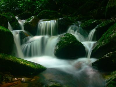 Cascades
Cherokee National Forest
6-24-2018
