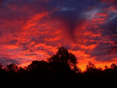 Sunrise
...in Hairntboro,
11-5-2013
