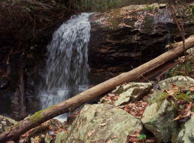 Pine Ridge Falls
In The Sampson Mountain Wilderness
November 2009
