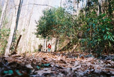 Searching for 'Stealth Pack'...
Rat and Tyler on the South Fork of the Sill Branch Trail
