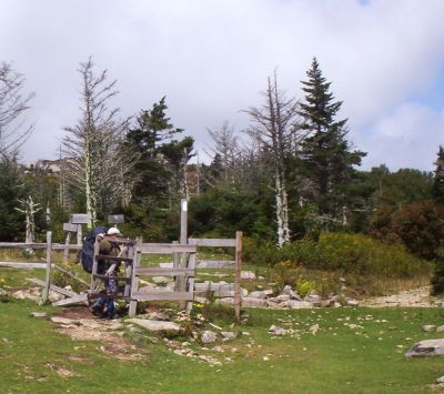Rat goes in Stile
Wilburn Ridge Trail,
9-09
