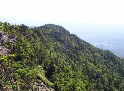 Roan Mountain Bluff
view to left from observation deck
