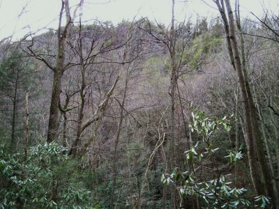 Cliffs in Rock Creek
Waterfall trail passes below these impressive cliffs on the way to Rock Creek Falls,
January 2010
