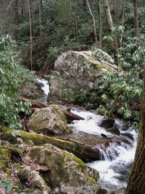 Rock Creek
Cascades on Rock Creek 
January 2010
