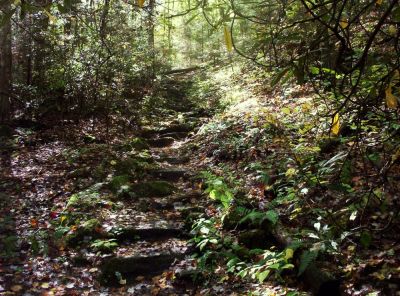 Rock Stairway Near Spivey Gap
10-09
