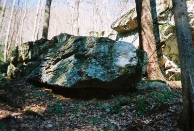 Snake Head Rock #1
Snake Head Rock #1 in Sill Branch
