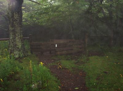 Little Wilson Creek Wilderness
Stile...
9-09
