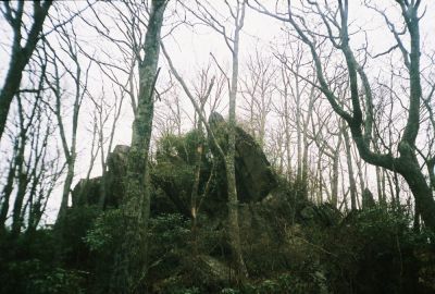 High Rocks
the craggy summit... 
