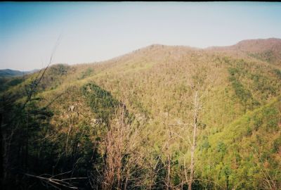 The 'Bony Knuckle Knob', with the 'Monkey Head Rocks', also The 'Bony Elbow' and 'Meat-Grinder Ridge'
View looking over at the Sill Branch Overlook and the 'North Fork' from the 'Volcano', May 3, 2009
