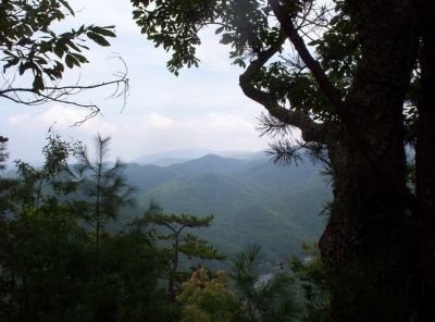View from Cliff Ridge
Looking across the river gorge at Unaka Mountain,
August 2009
