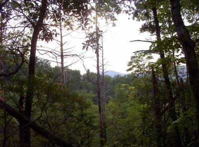 View from Cliff Ridge
August 2009
