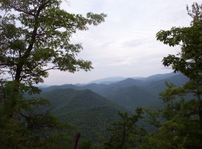 View from Cliff Ridge
Looking towards Unaka Mountain,
August 2009
